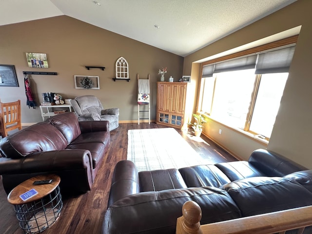 823 4th St NE, Byron, MN 55920 - living room with lofted ceiling, wood finished floors, and baseboards