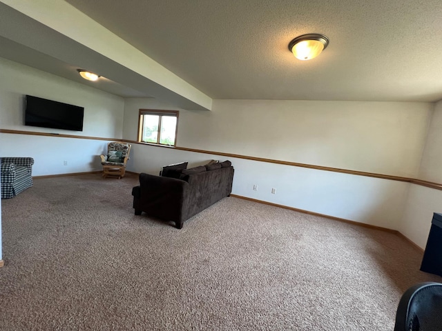 823 4th St NE, Byron, MN 55920 - carpeted living room featuring a textured ceiling and baseboards