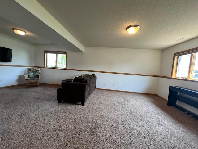 823 4th St NE, Byron, MN 55920 - living area featuring carpet flooring, a textured ceiling, and baseboards