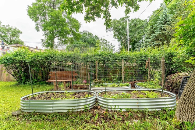 327 Channing Ave, Fergus Falls, MN 56537 - view of yard with a vegetable garden
