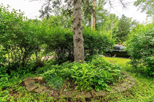 327 Channing Ave, Fergus Falls, MN 56537 - view of yard