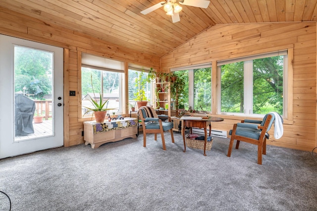 327 Channing Ave, Fergus Falls, MN 56537 - sunroom with wood walls, vaulted ceiling, wood ceiling, carpet floors, and a baseboard heating unit