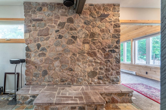 327 Channing Ave, Fergus Falls, MN 56537 - detailed view of a baseboard radiator