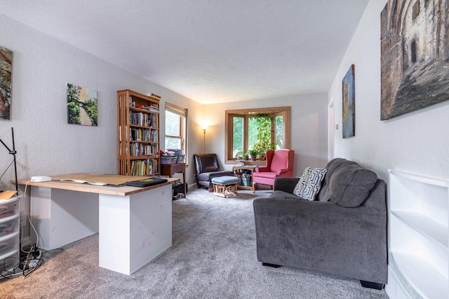 327 Channing Ave, Fergus Falls, MN 56537 - living room featuring carpet, a desk, and a textured wall