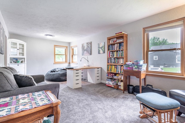 327 Channing Ave, Fergus Falls, MN 56537 - carpeted office space with a textured ceiling