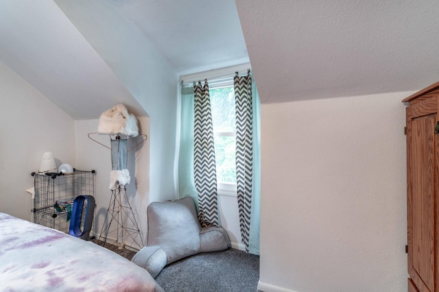 327 Channing Ave, Fergus Falls, MN 56537 - bedroom featuring lofted ceiling and carpet