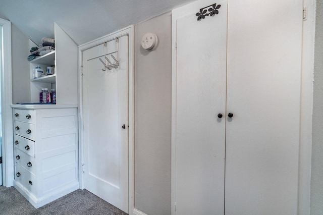 327 Channing Ave, Fergus Falls, MN 56537 - view of closet