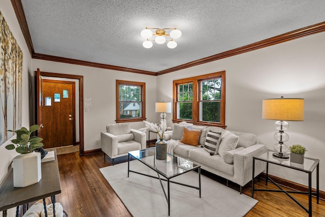 3017 32nd Ave NE, Saint Anthony, MN 55418 - living room with a textured ceiling, dark wood-type flooring, and ornamental molding
