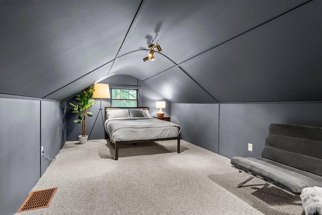 3017 32nd Ave NE, Saint Anthony, MN 55418 - bedroom with lofted ceiling and carpet flooring
