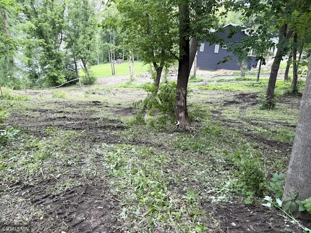 TBD Newcomb Ave SW, Cokato Twp, MN 55321