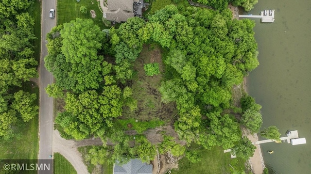 TBD Newcomb Ave SW, Cokato Twp, MN 55321