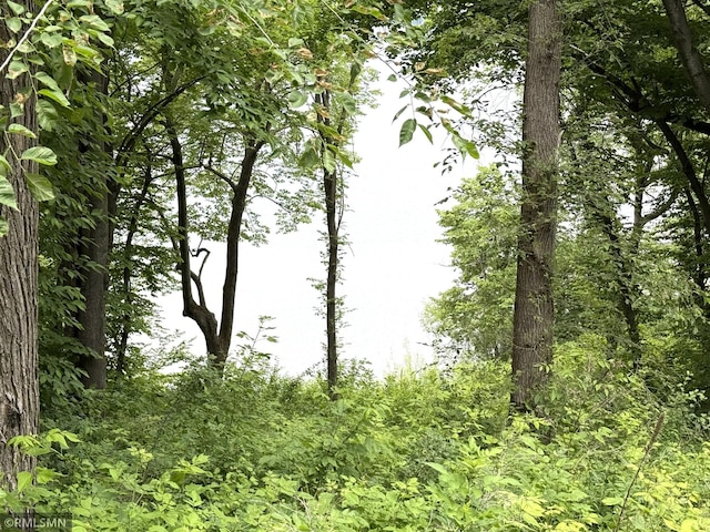 TBD Newcomb Ave SW, Cokato Twp, MN 55321