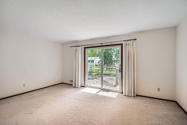 10465 Osage St NW, Coon Rapids, MN 55433 - spare room featuring light carpet and a textured ceiling