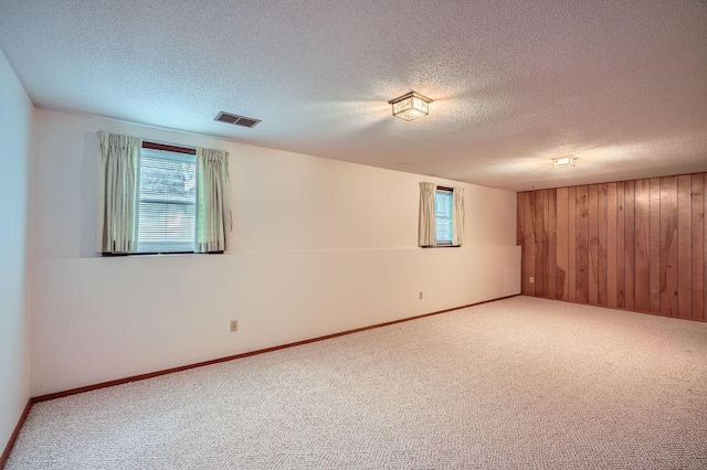 10465 Osage St NW, Coon Rapids, MN 55433 - spare room with carpet, a textured ceiling, and wood walls