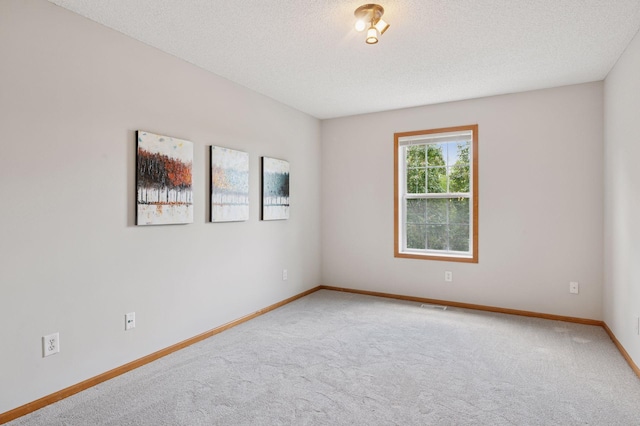10612 172nd Ln NW, Elk River, MN 55330 - carpeted spare room with baseboards and a textured ceiling