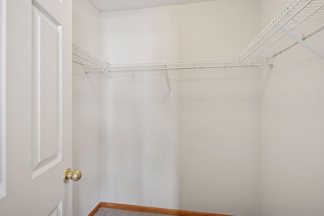 10612 172nd Ln NW, Elk River, MN 55330 - spacious closet with carpet flooring