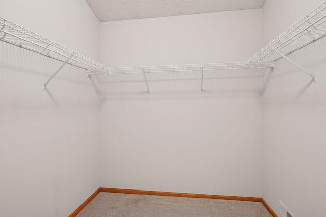 10612 172nd Ln NW, Elk River, MN 55330 - spacious closet featuring carpet floors