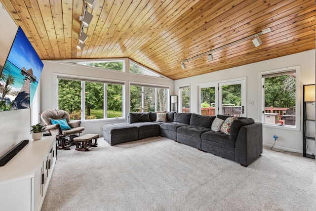 11788 65th Pl N, Maple Grove, MN 55369 - living room featuring carpet floors, lofted ceiling, and wooden ceiling
