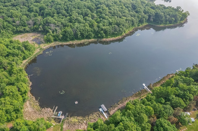 28229 Silent Dr, Dent, MN 56571 - photo 1