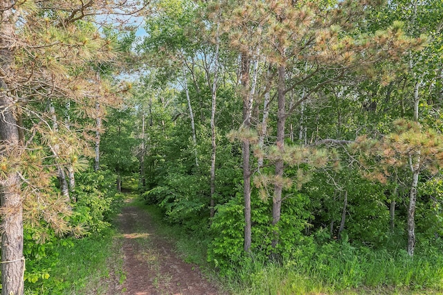 28229 Silent Dr, Dent, MN 56571 - photo 2
