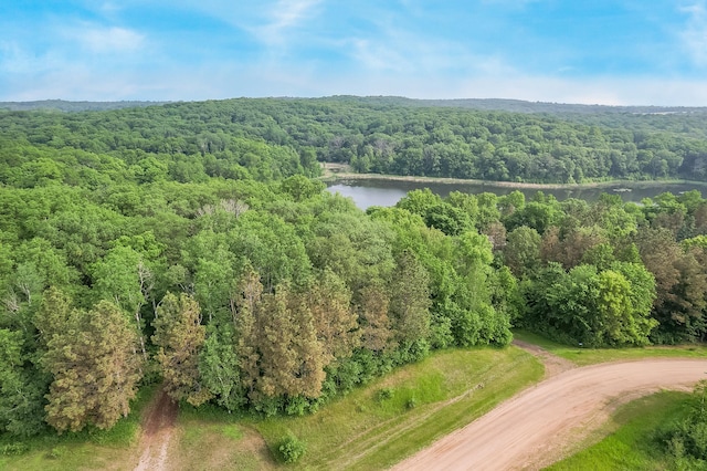 28229 Silent Dr, Dent, MN 56571 - photo 3