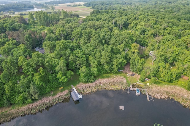 28229 Silent Dr, Dent, MN 56571 - photo 5