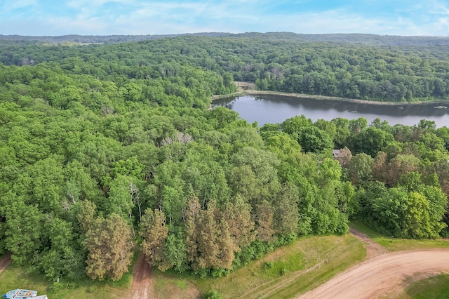 28229 Silent Dr, Dent, MN 56571 - photo 7
