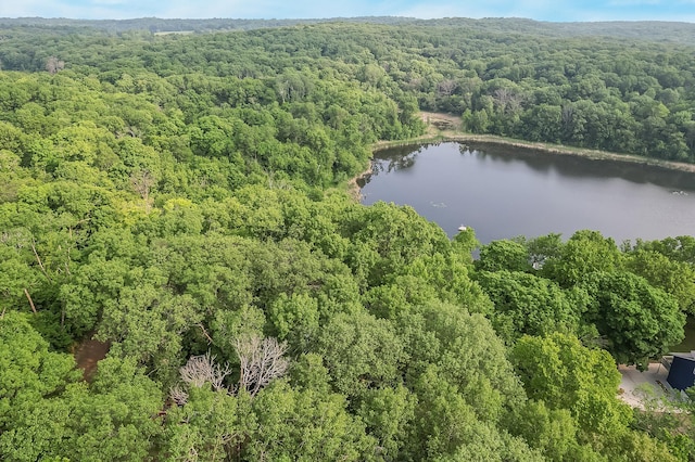 28229 Silent Dr, Dent, MN 56571 - photo 8