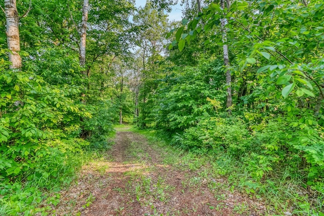 28229 Silent Dr, Dent, MN 56571 - photo 11