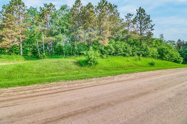 28229 Silent Dr, Dent, MN 56571 - photo 12
