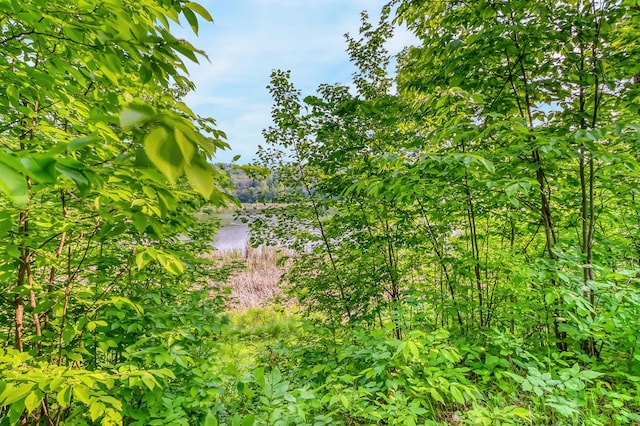 28229 Silent Dr, Dent, MN 56571 - photo 13