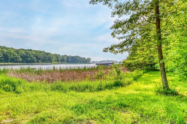 28229 Silent Dr, Dent, MN 56571 - photo 15