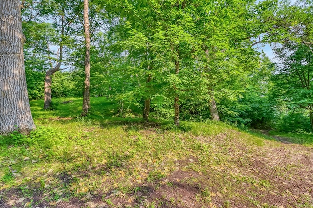 28229 Silent Dr, Dent, MN 56571 - photo 16