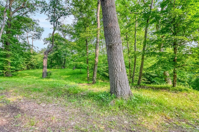 28229 Silent Dr, Dent, MN 56571 - photo 17