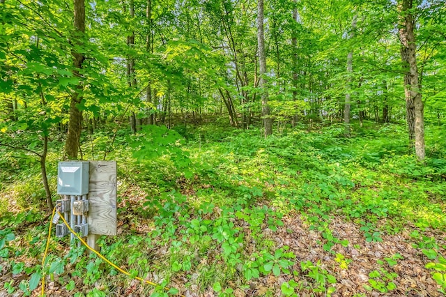 28229 Silent Dr, Dent, MN 56571 - photo 18