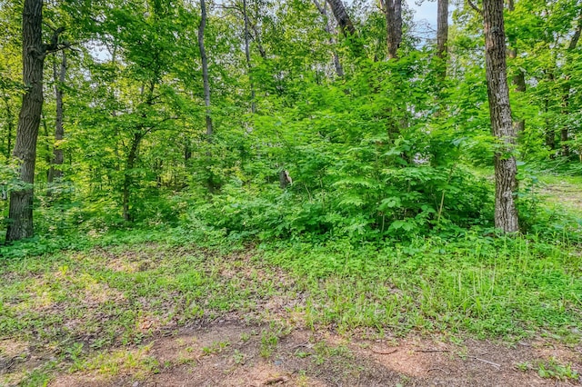 28229 Silent Dr, Dent, MN 56571 - photo 19