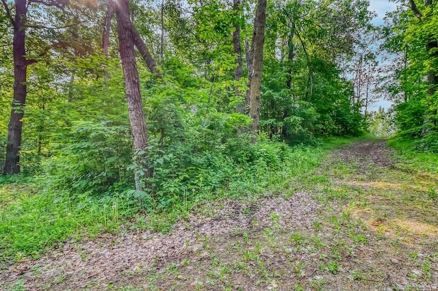 28229 Silent Dr, Dent, MN 56571 - photo 20