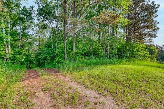 28229 Silent Dr, Dent, MN 56571 - photo 21