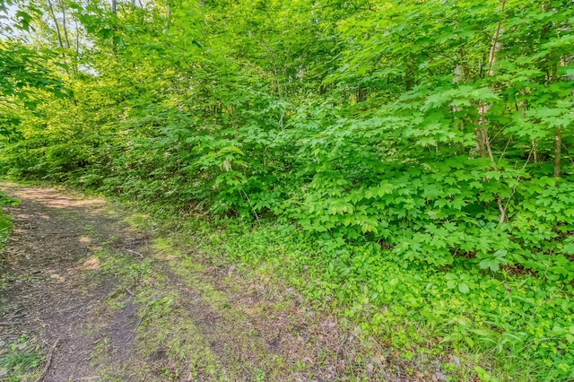 28229 Silent Dr, Dent, MN 56571 - photo 22