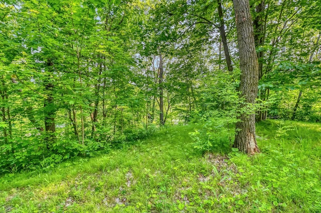 28229 Silent Dr, Dent, MN 56571 - photo 23