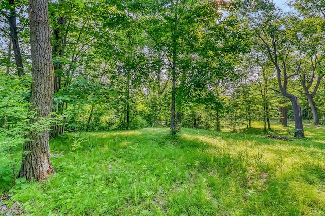 28229 Silent Dr, Dent, MN 56571 - photo 24