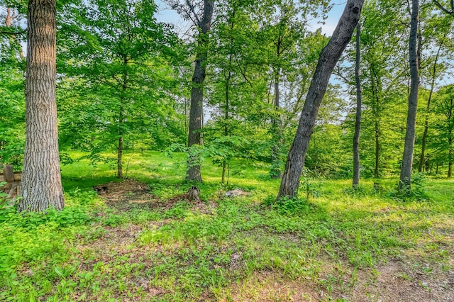 28229 Silent Dr, Dent, MN 56571 - photo 25