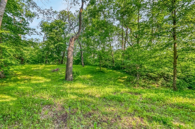28229 Silent Dr, Dent, MN 56571 - photo 26