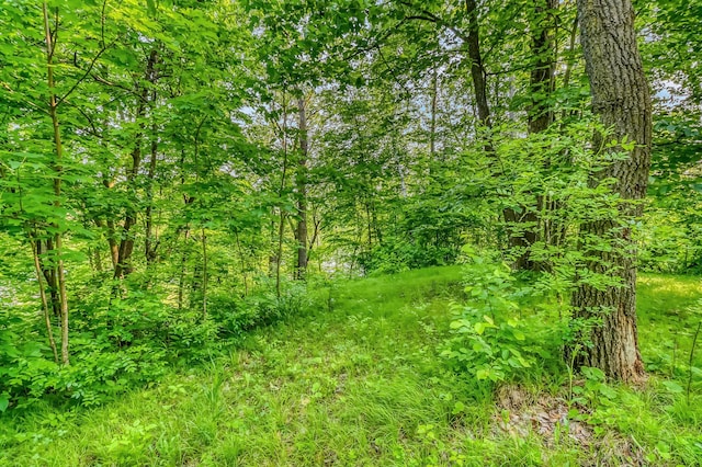 28229 Silent Dr, Dent, MN 56571 - photo 27