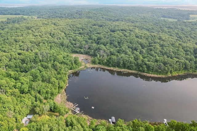 28229 Silent Dr, Dent, MN 56571 - photo 28