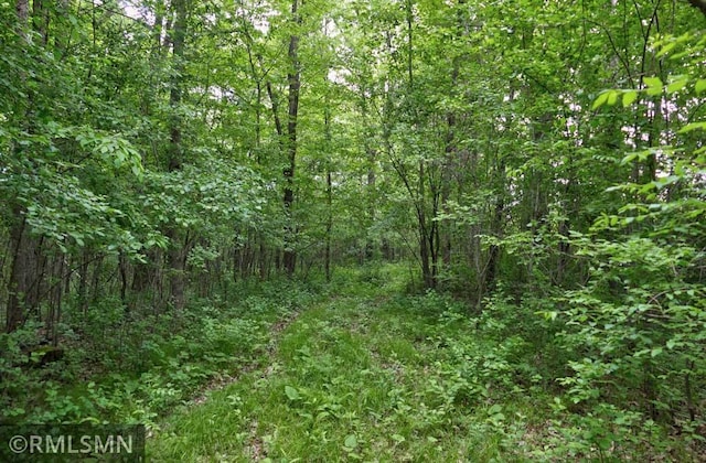 65X 115th St, Lincoln Twp, WI 54001