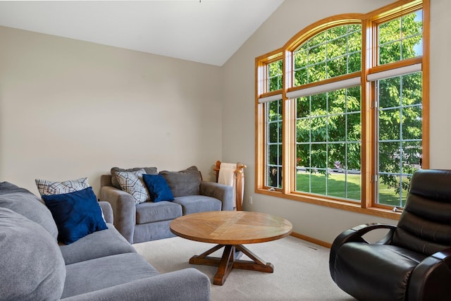 2554 160th Ave NE, Ham Lake, MN 55304 - carpeted living area with vaulted ceiling and baseboards
