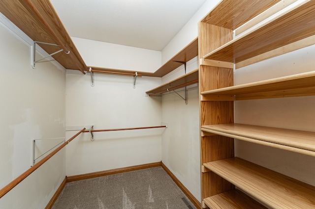 2310 Wilshire Ln NE, Rochester, MN 55906 - walk in closet with carpet flooring