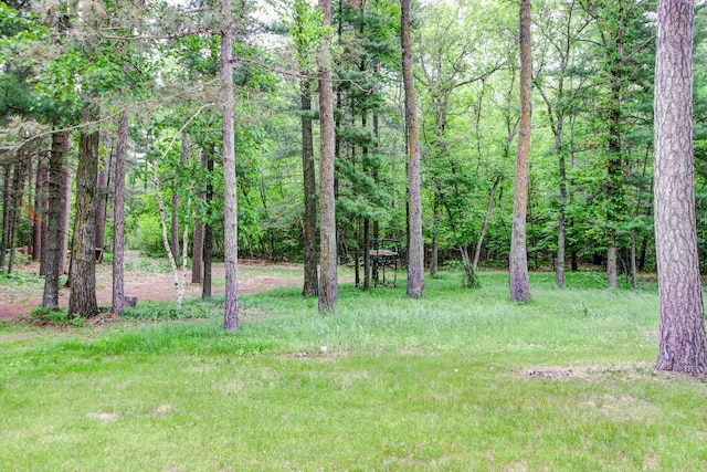 14070 County 18, Park Rapids, MN 56470 - view of yard featuring a wooded view