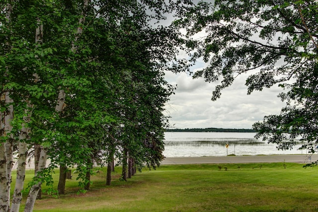 14070 County 18, Park Rapids, MN 56470 - water view